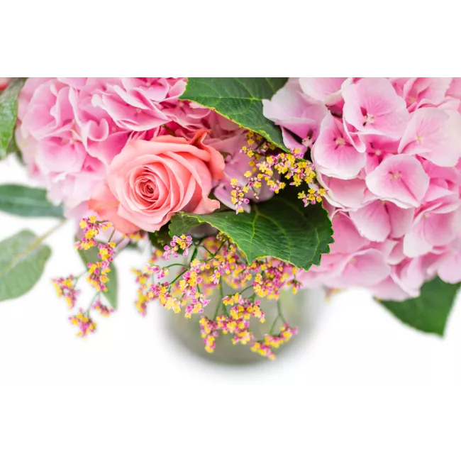 Bouquet of hydrangea